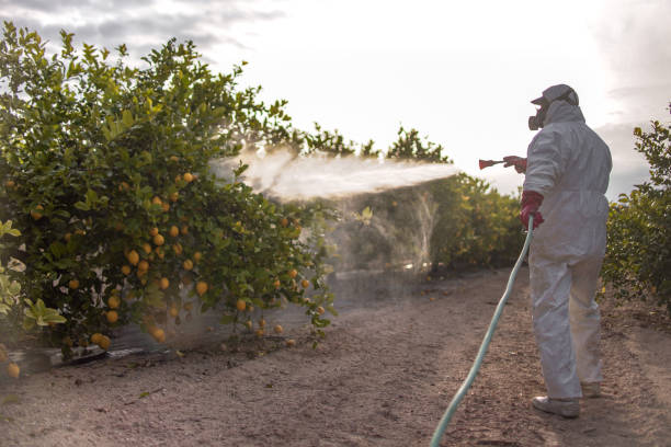Best Pest Control Treatment  in Omaha, NE
