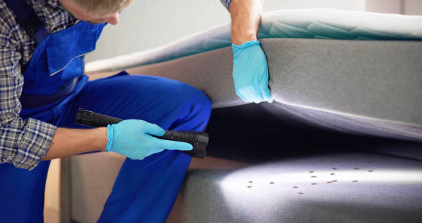 Best Pest Control Near Me in Omaha, NE