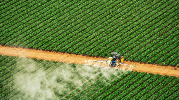 Best Affordable Exterminators  in Omaha, NE